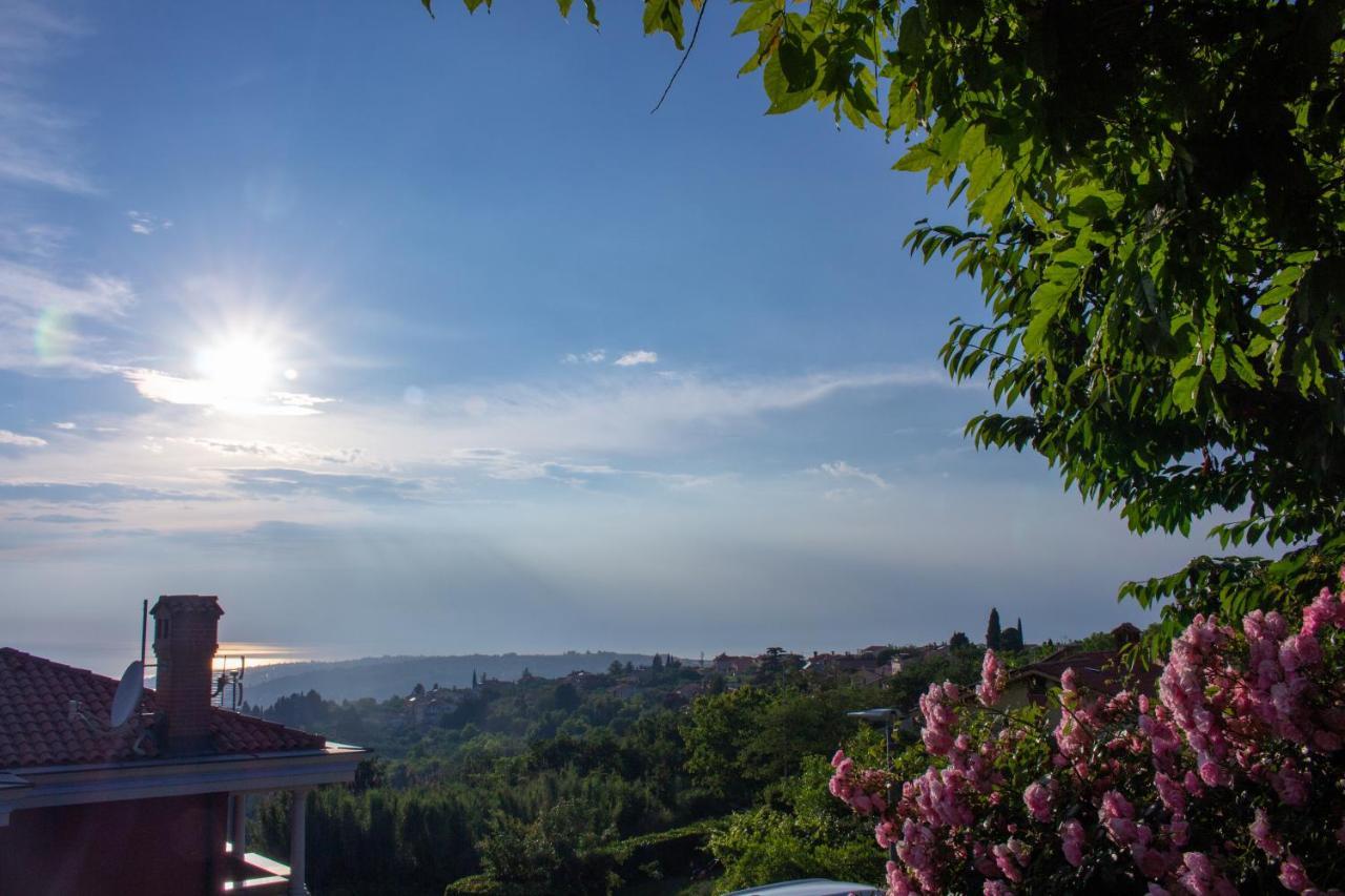 伊佐拉Seaview Heights Above Portoroz公寓 外观 照片
